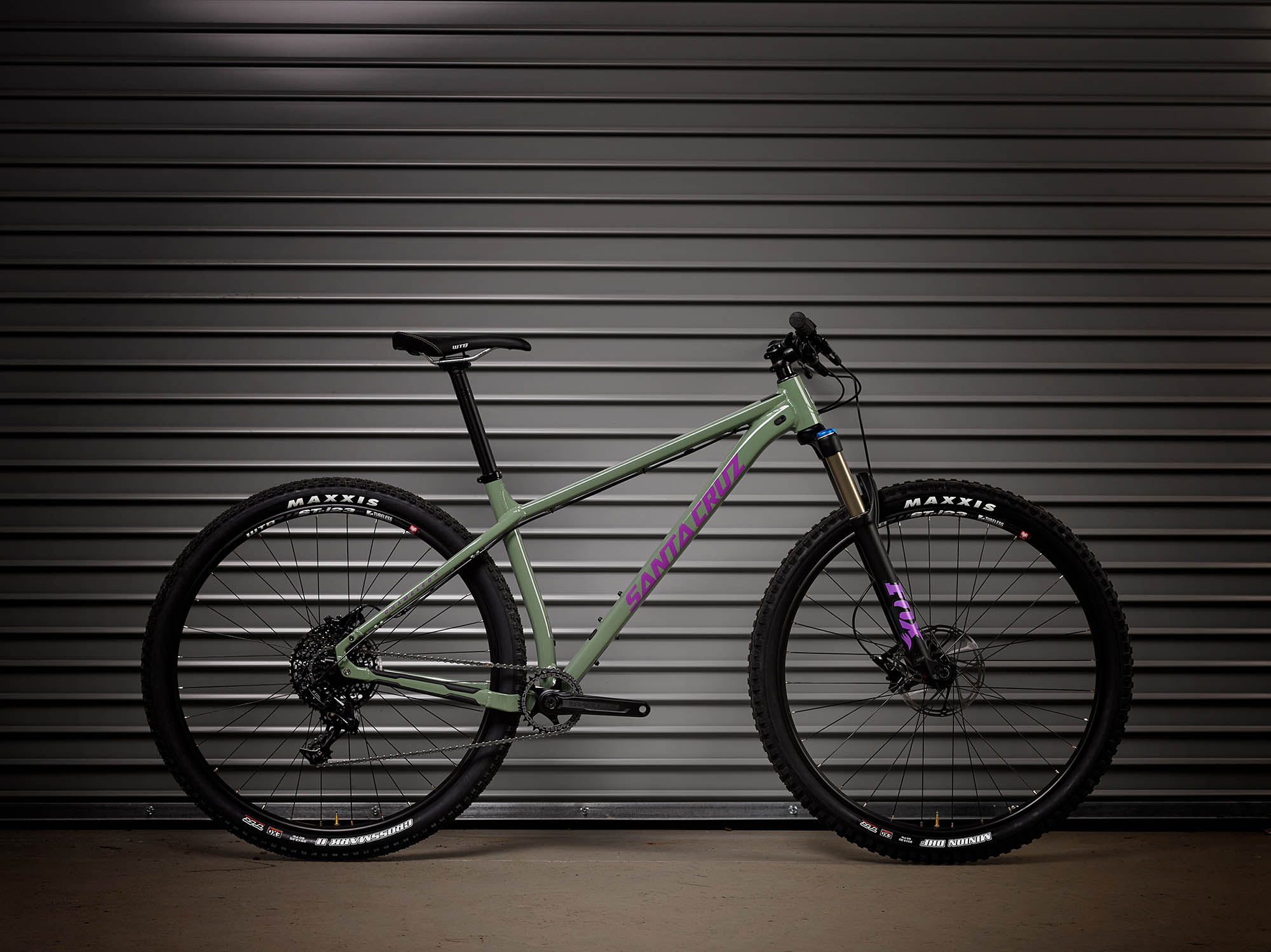 2017 santa on sale cruz chameleon