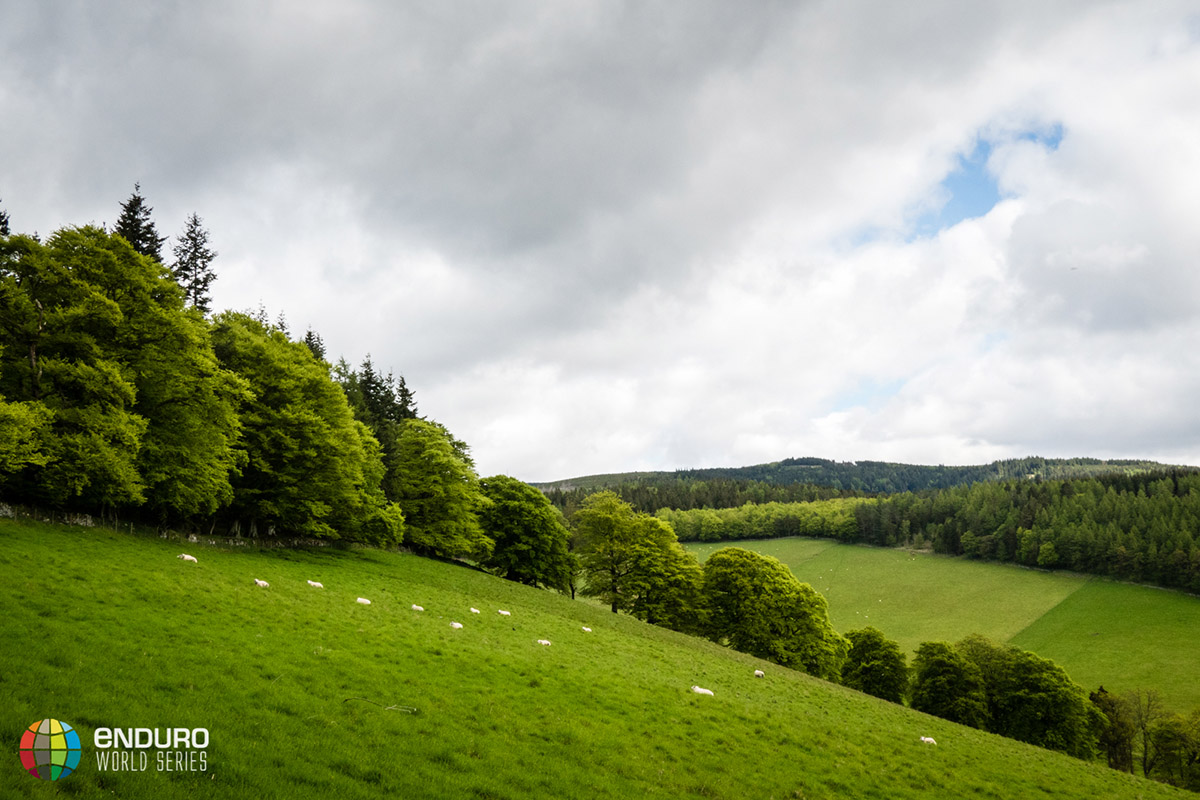 The rolling green hills of the Scottish Borders.